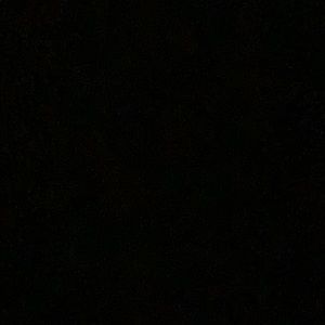 Meet your Posher, Donovan